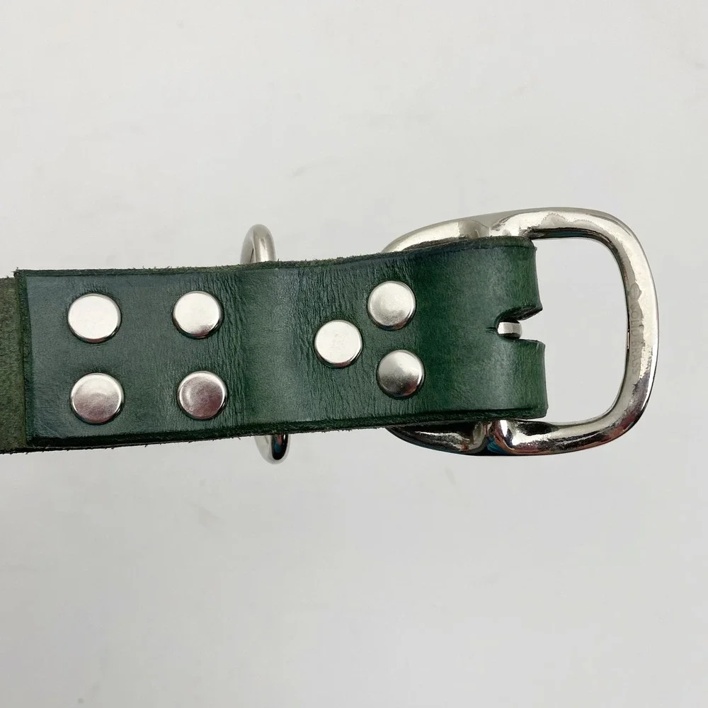 Tooled Leather Celtic Dog Medallion Dog Collar Tan Green Silver